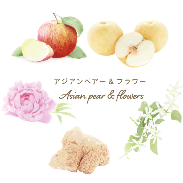 アジアンペアフラワー　Asian pear flower｜生キャンドルパック